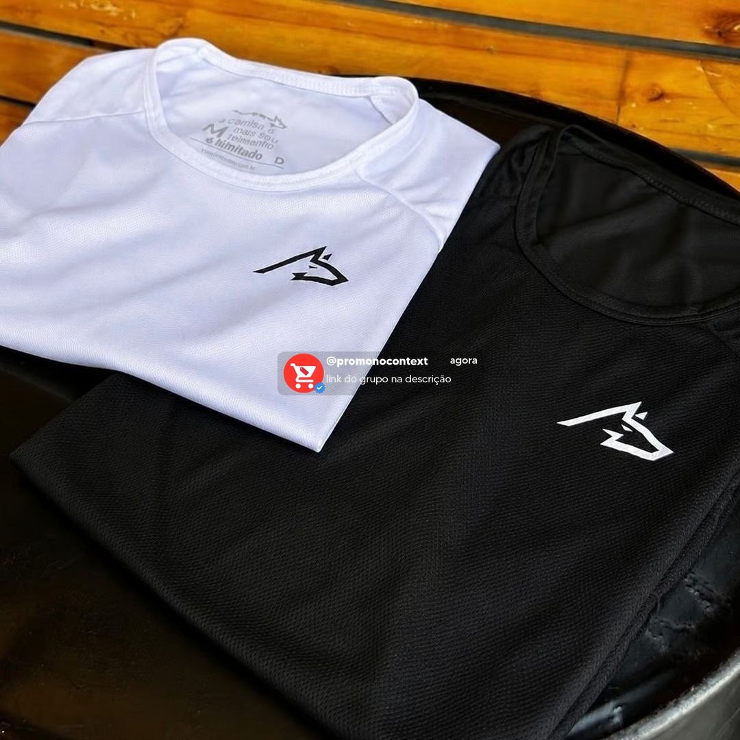 Kit 2 Camisetas Básica Lupo Masculina Fitness Dry Sport